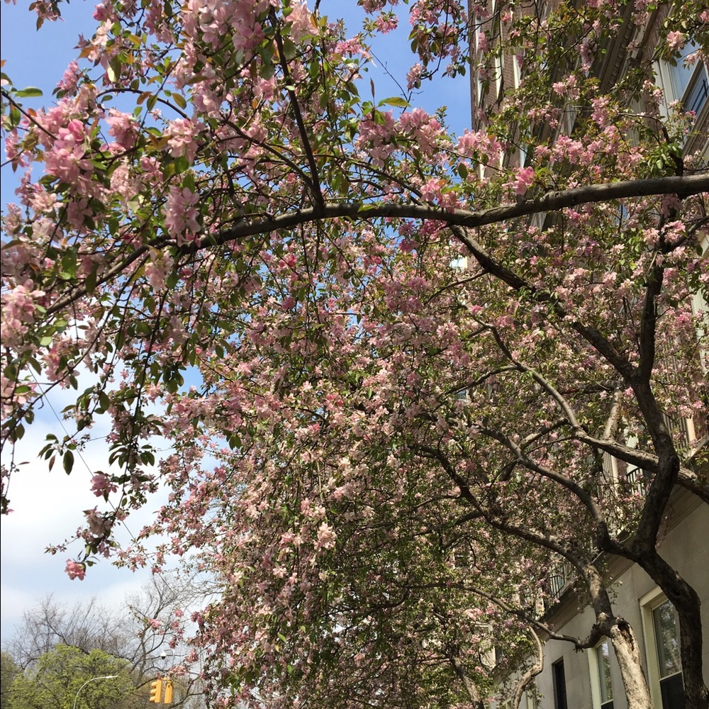 Meet your Posher, Natasha