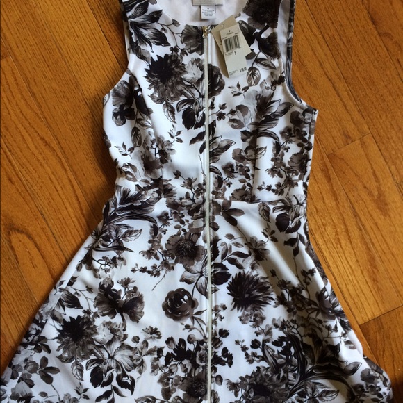 Carmen Zip-up spring dress 🌹🌼 - Picture 6 of 6