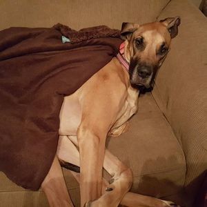 Meet your Posher, Holly