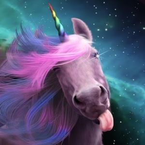 Meet your Posher, Kylie