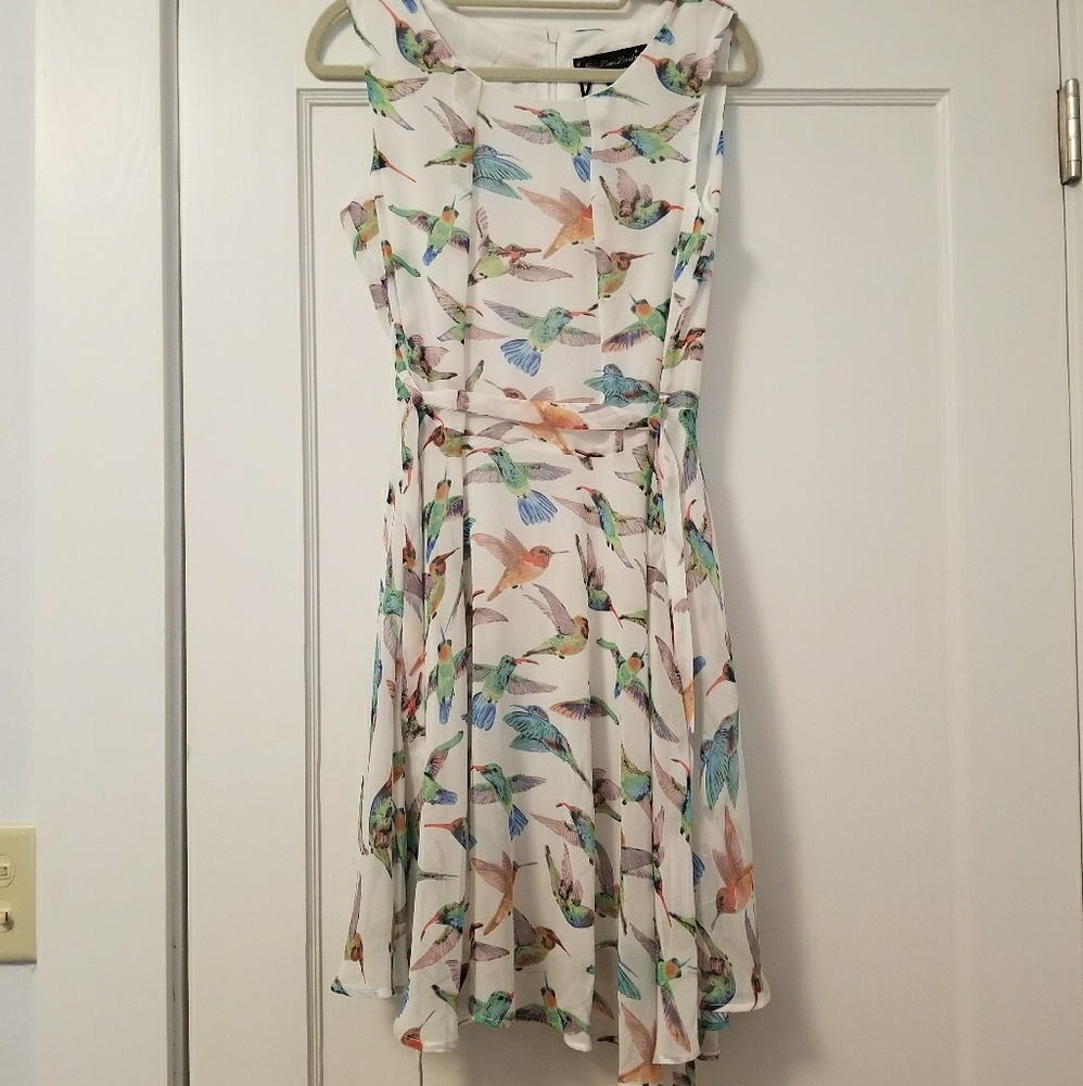 Humming Bird sundress
