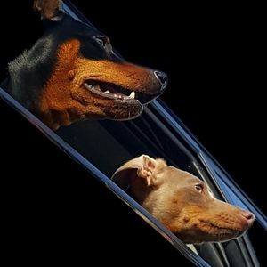 Meet your Posher, Mary