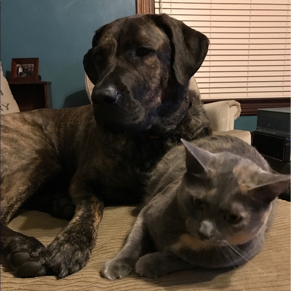 Meet your Posher, Ashley