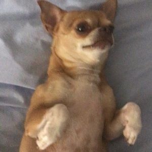 Meet your Posher, Mika