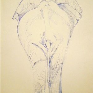 Meet your Posher, Anastasia