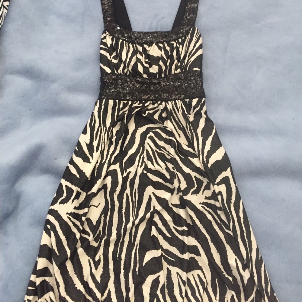 Zebra Dress