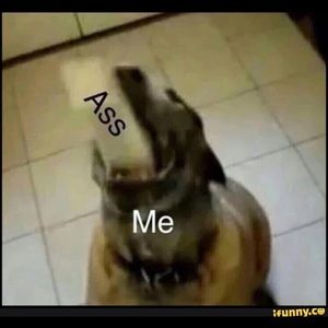 Meet your Posher, Evan