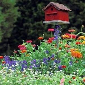 Meet your Posher, Janet