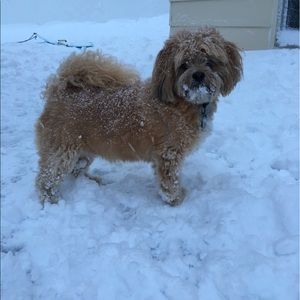 Meet your Posher, Kayla