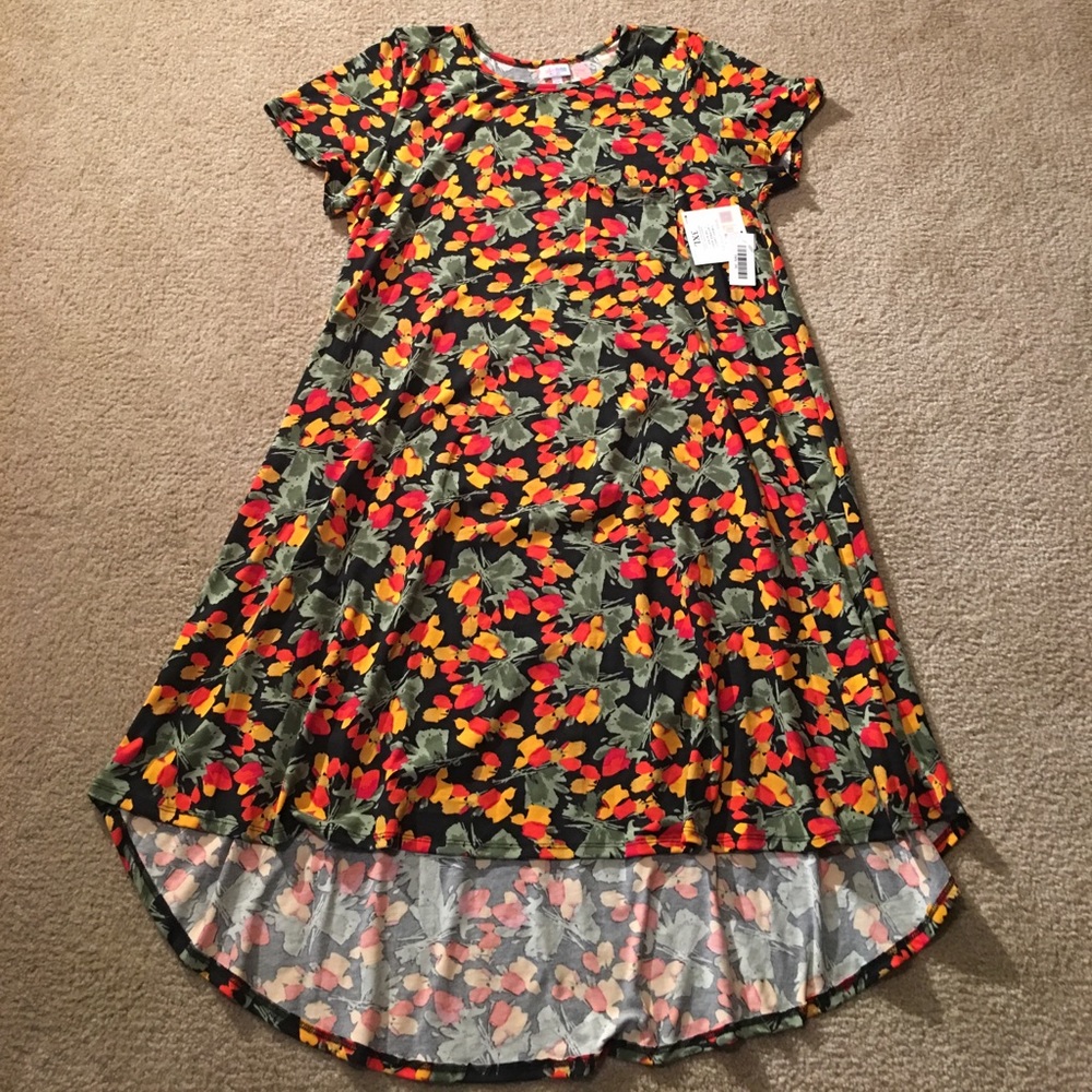 NWT Lularoe Carly 3XL