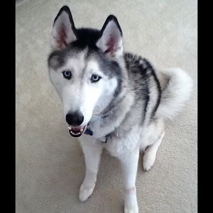 Meet your Posher, Kim