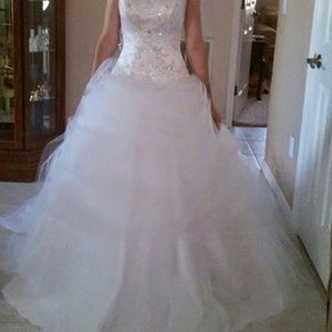 Wedding Dress (Never Used)