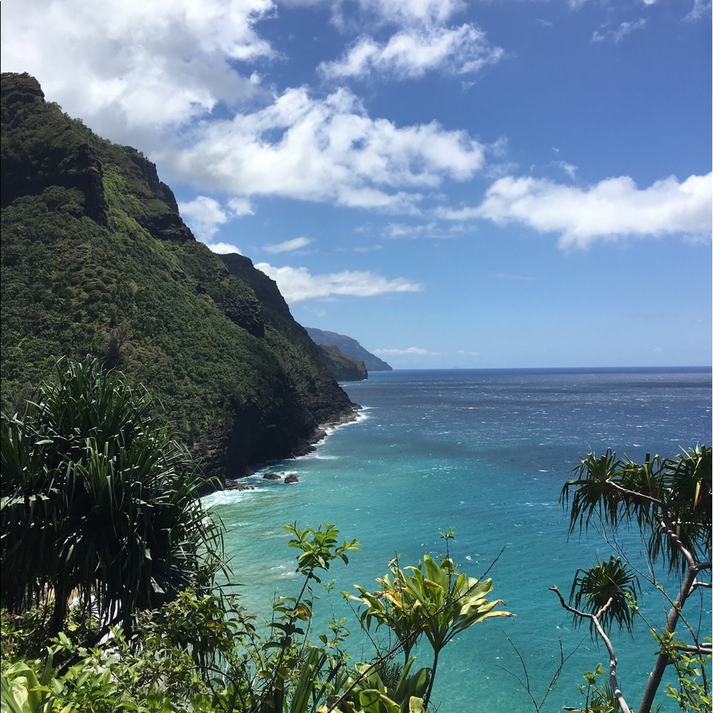 Meet your Posher, Shawn