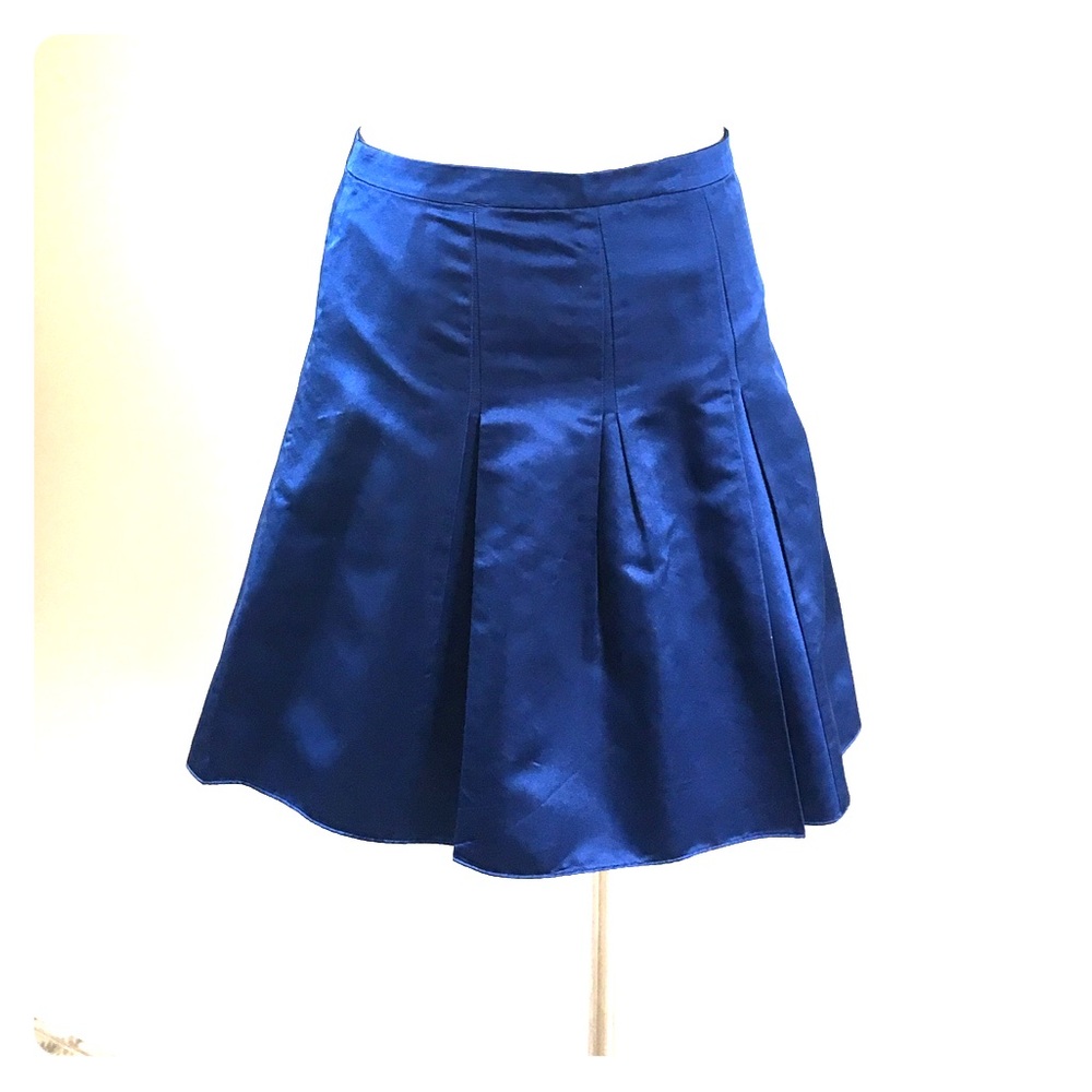 Ann Taylor Silk Skirt