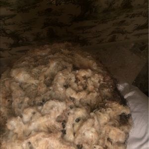 Meet your Posher, Yosef