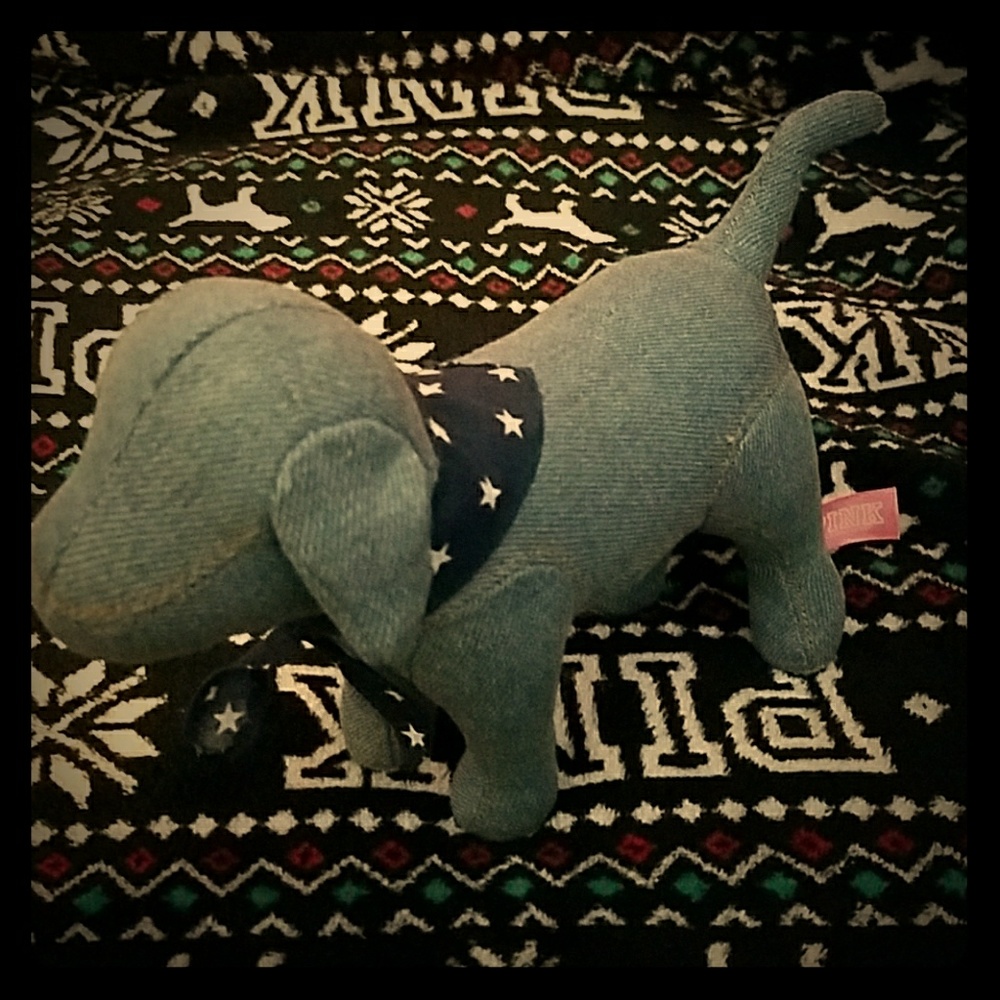 RARE VS PINK DENIM DOG