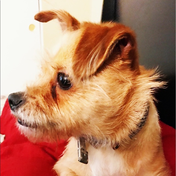 Meet your Posher, De'nesha - Picture 6 of 6