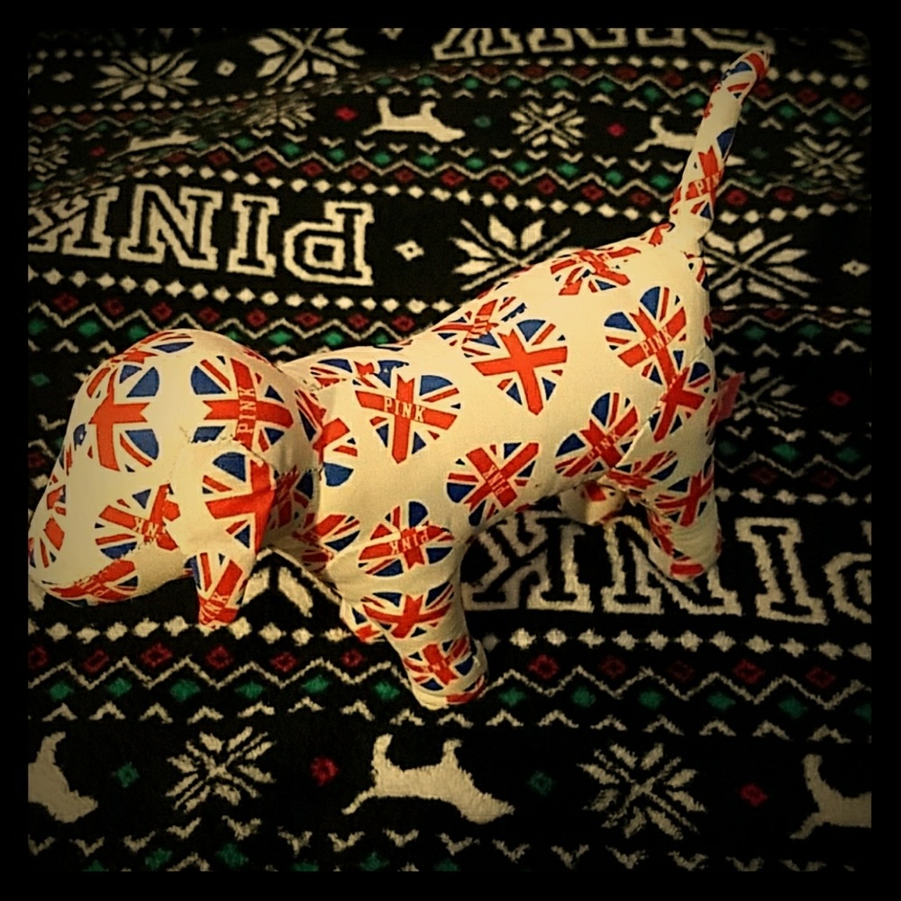 RARE VS PINK UNION JACK DOG