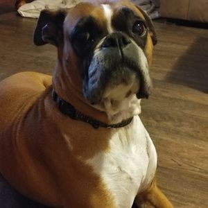 Meet your Posher, Marie