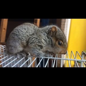 Meet your Posher, Emma