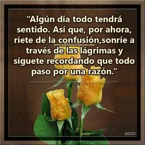 Meet your Posher, Berta