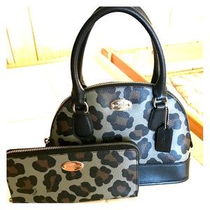 🔥 Sale🔥Coach Camouflage Dome