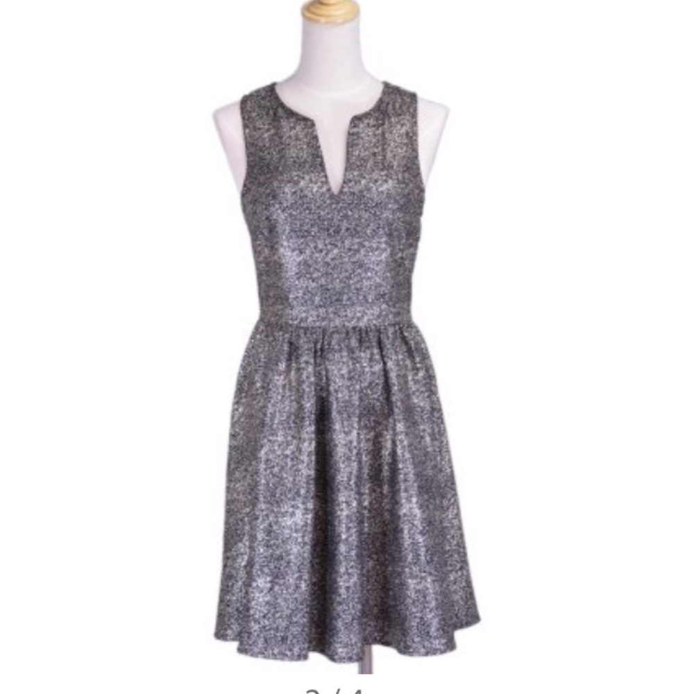 Everly silver dress