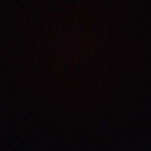 Meet your Posher, Tamara