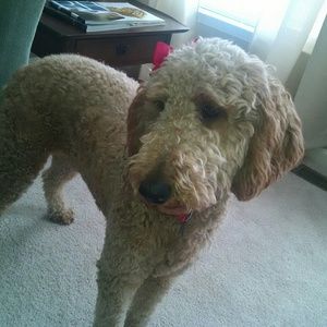 Meet your Posher, Jaime