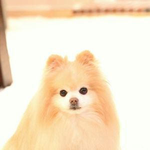 Meet your Posher, Christine