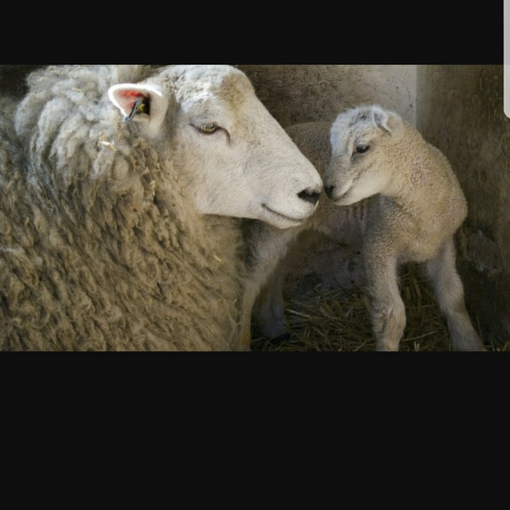 Meet your Posher, Christelle