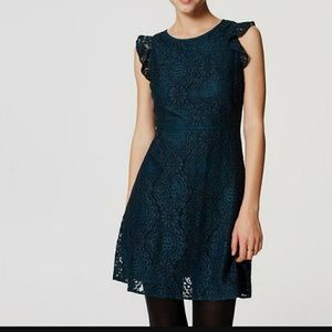 NWT LOFT Lace Flutter Sleeve Lace Dress