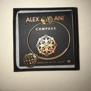 Brand new compass Alex & Ani