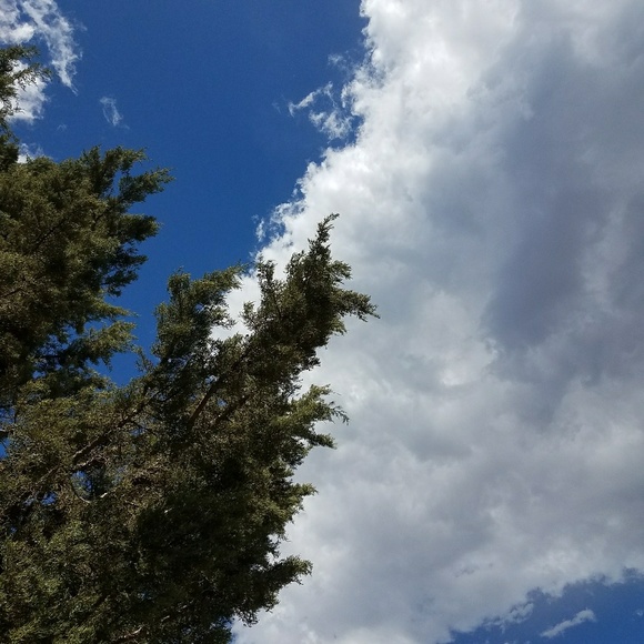 Meet your Posher, Riley - Picture 1 of 1