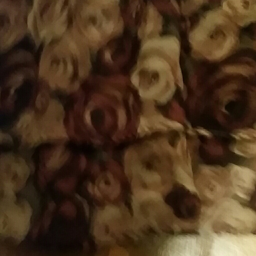 Express Skirt - Picture 3 of 3