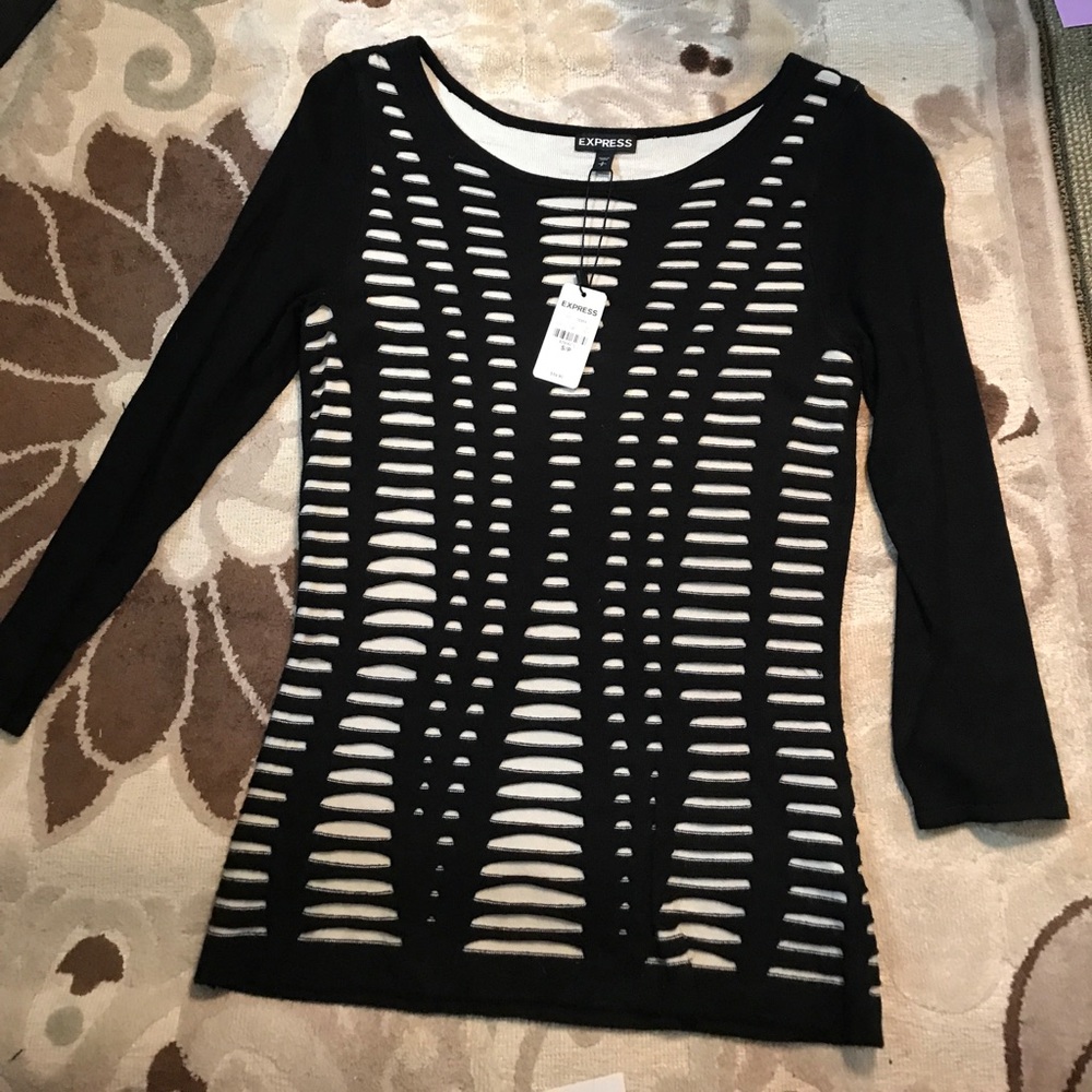 NWT Express sweater