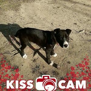 Meet your Posher, Teri