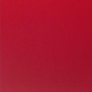 Meet your Posher, Rikki