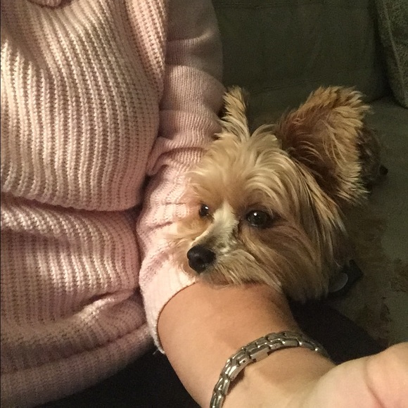 Meet your Posher, Mary - Picture 4 of 4