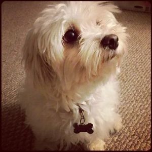 Meet your Posher, Cindy