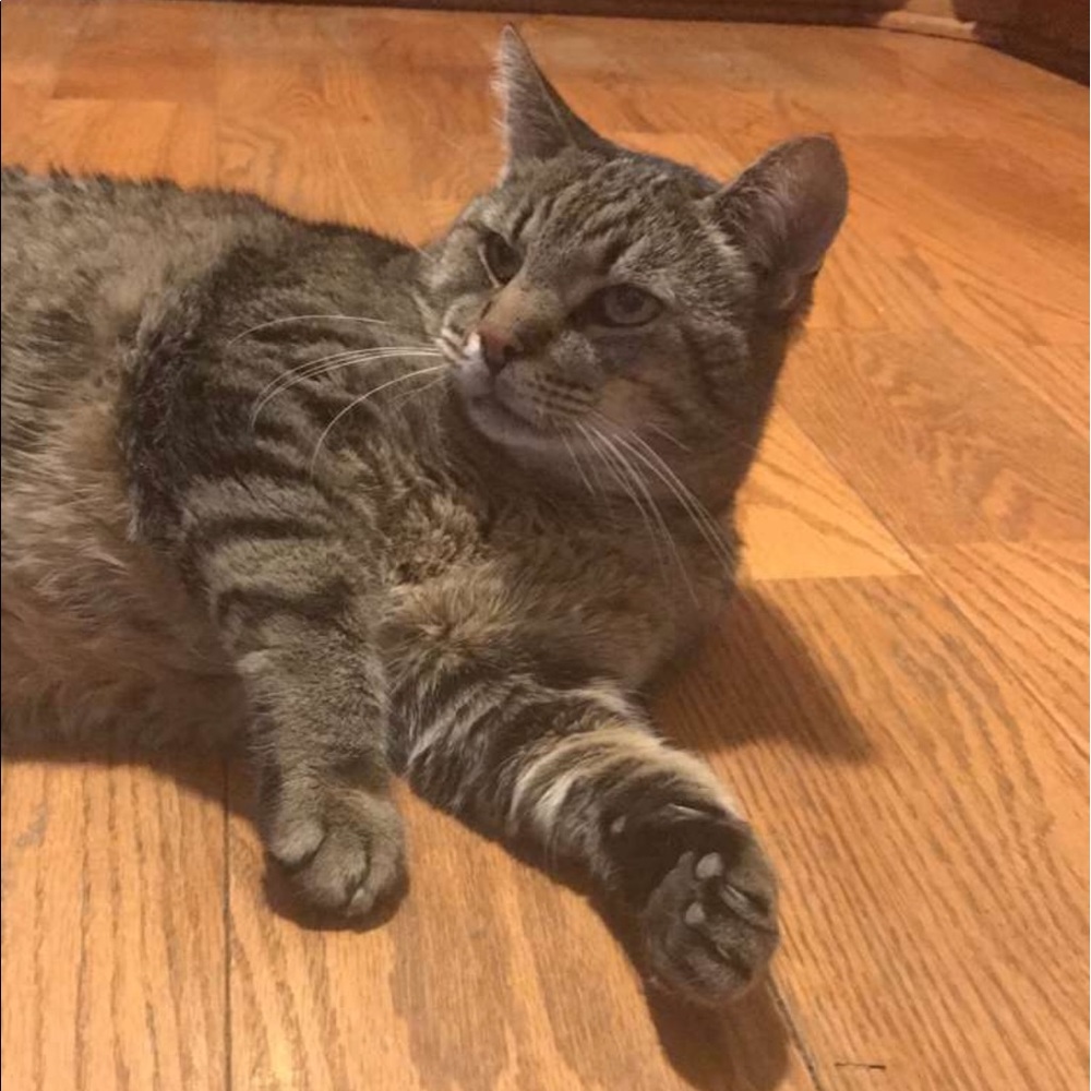 Meet your Posher, Nicole