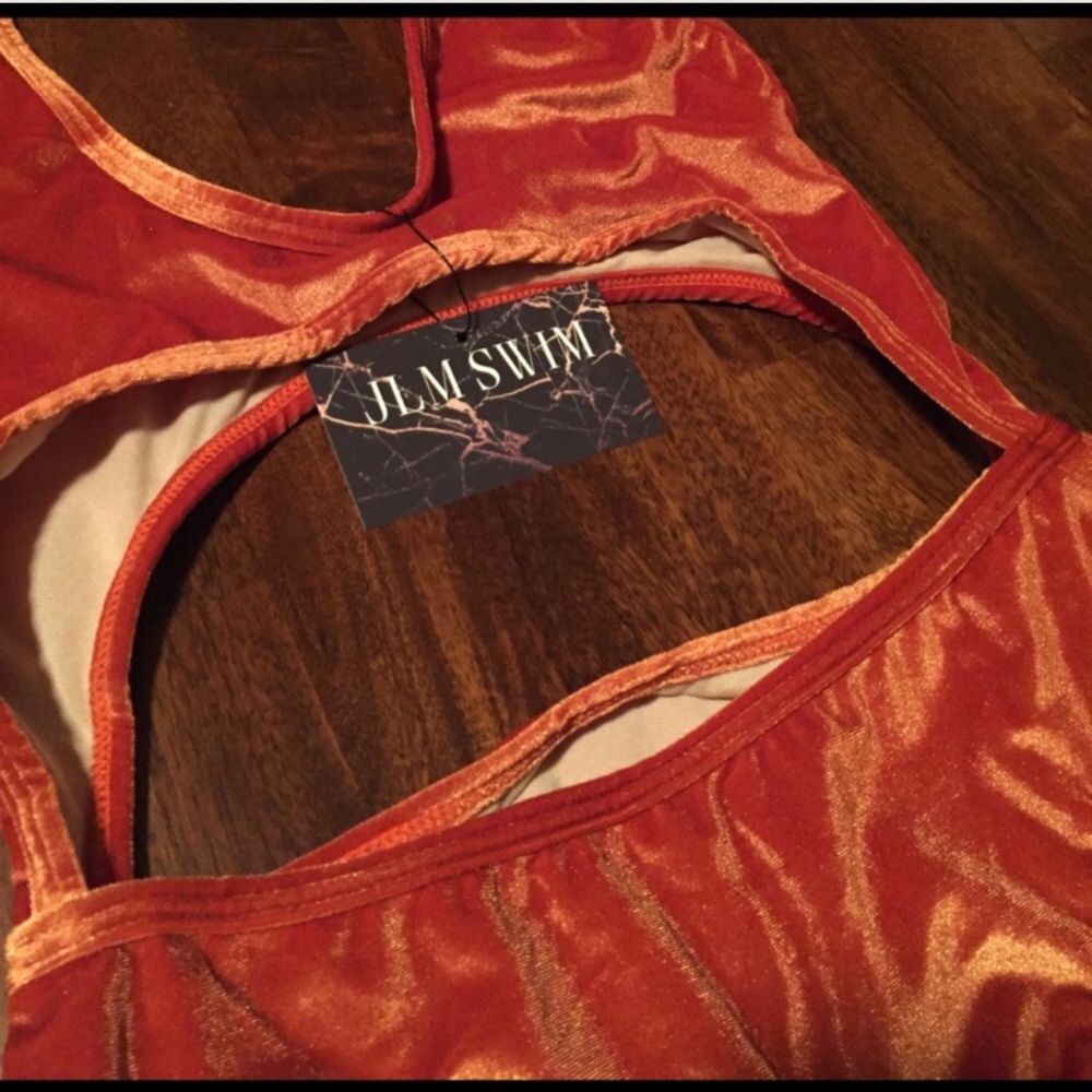 •SMALL LEFT• Orange Velvet Bikini - Picture 6 of 6