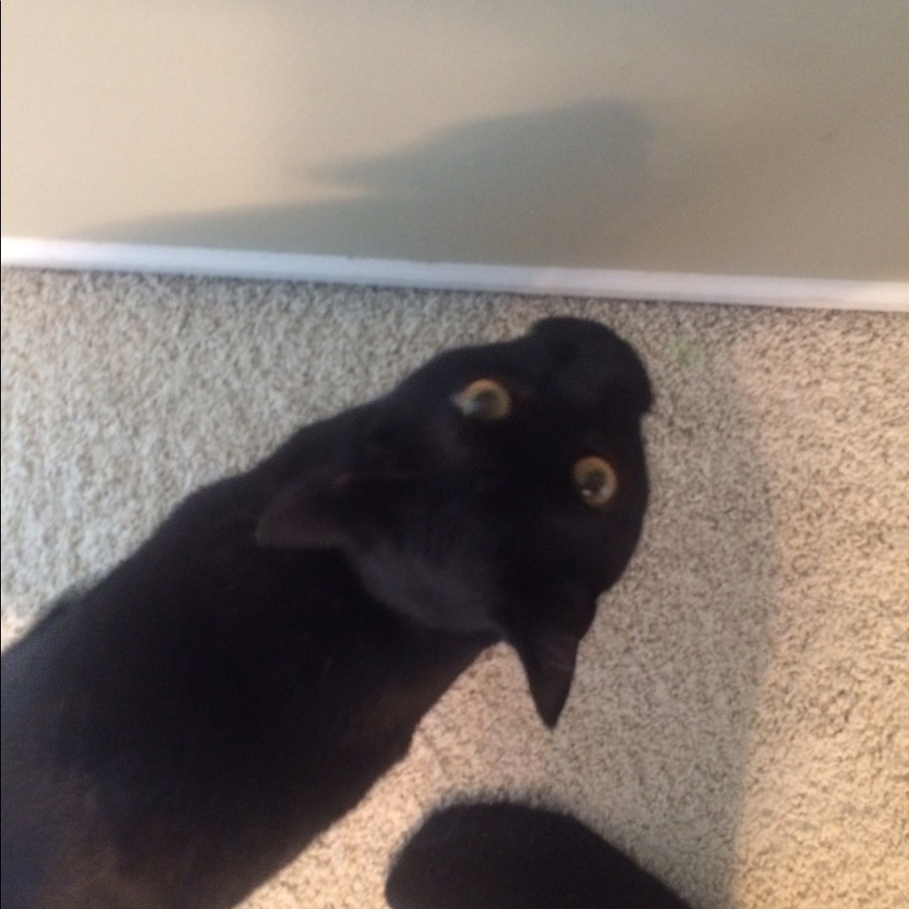 Meet your Posher, Claire