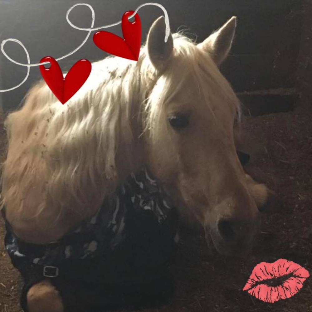 Meet your Posher, Rebecca