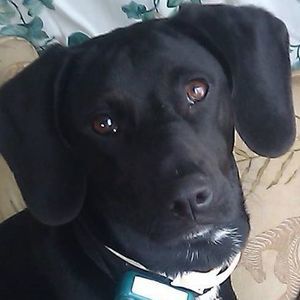 Meet your Posher, Krista