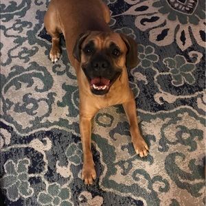 Meet your Posher, Brad