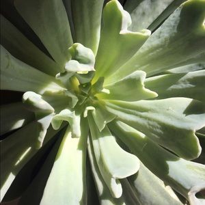 Meet your Posher, Kris