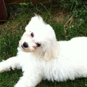 Meet your Posher, Isabel