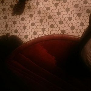 Meet your Posher, Darrinisha