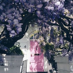 Meet your Posher, Jully